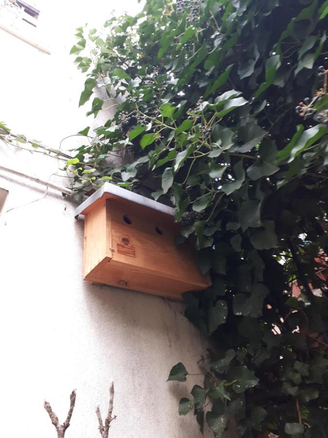 Le Nichoir Aux Oiseaux Apartment Paris Exterior photo